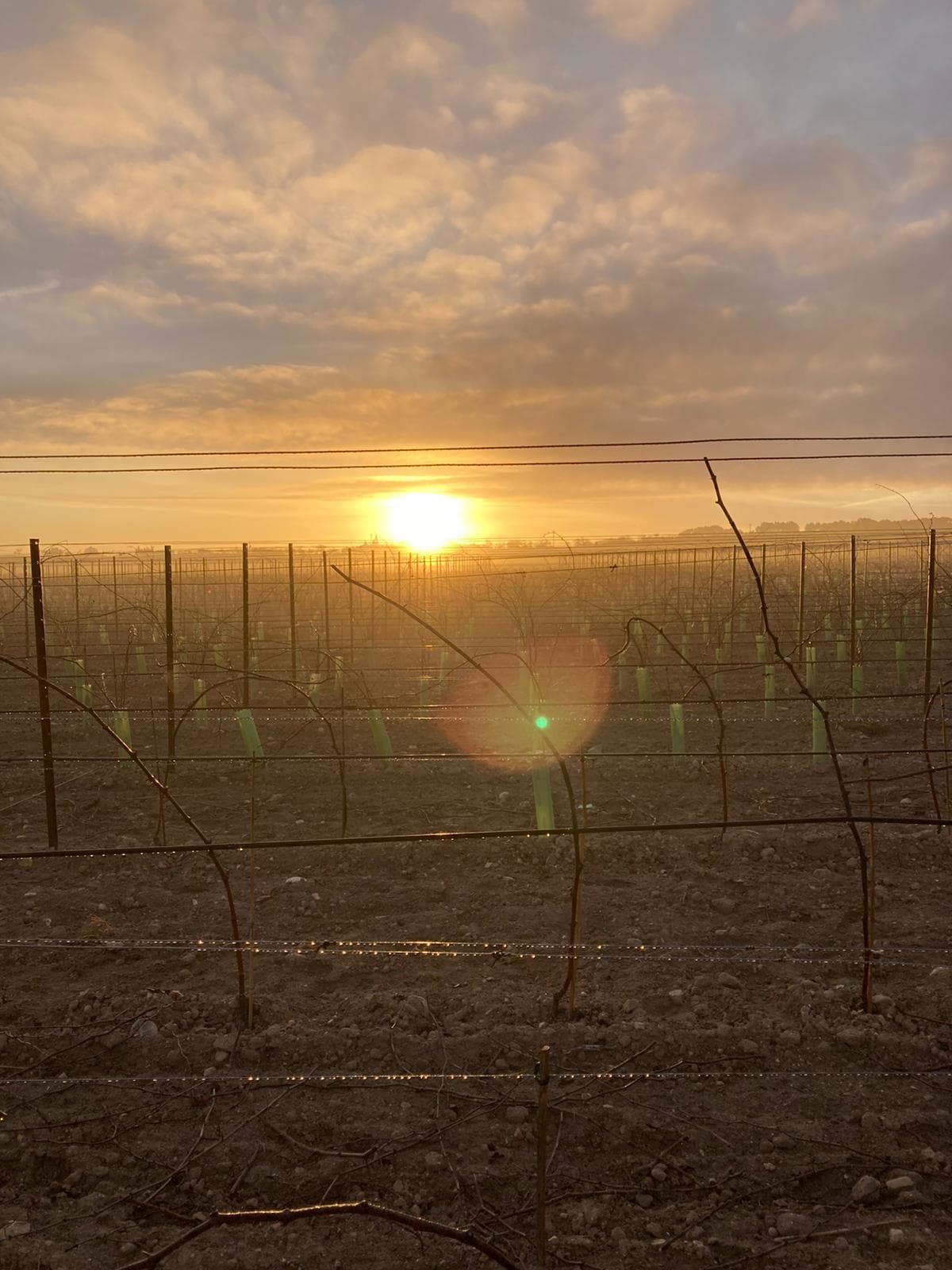Viña Nina Magdalena